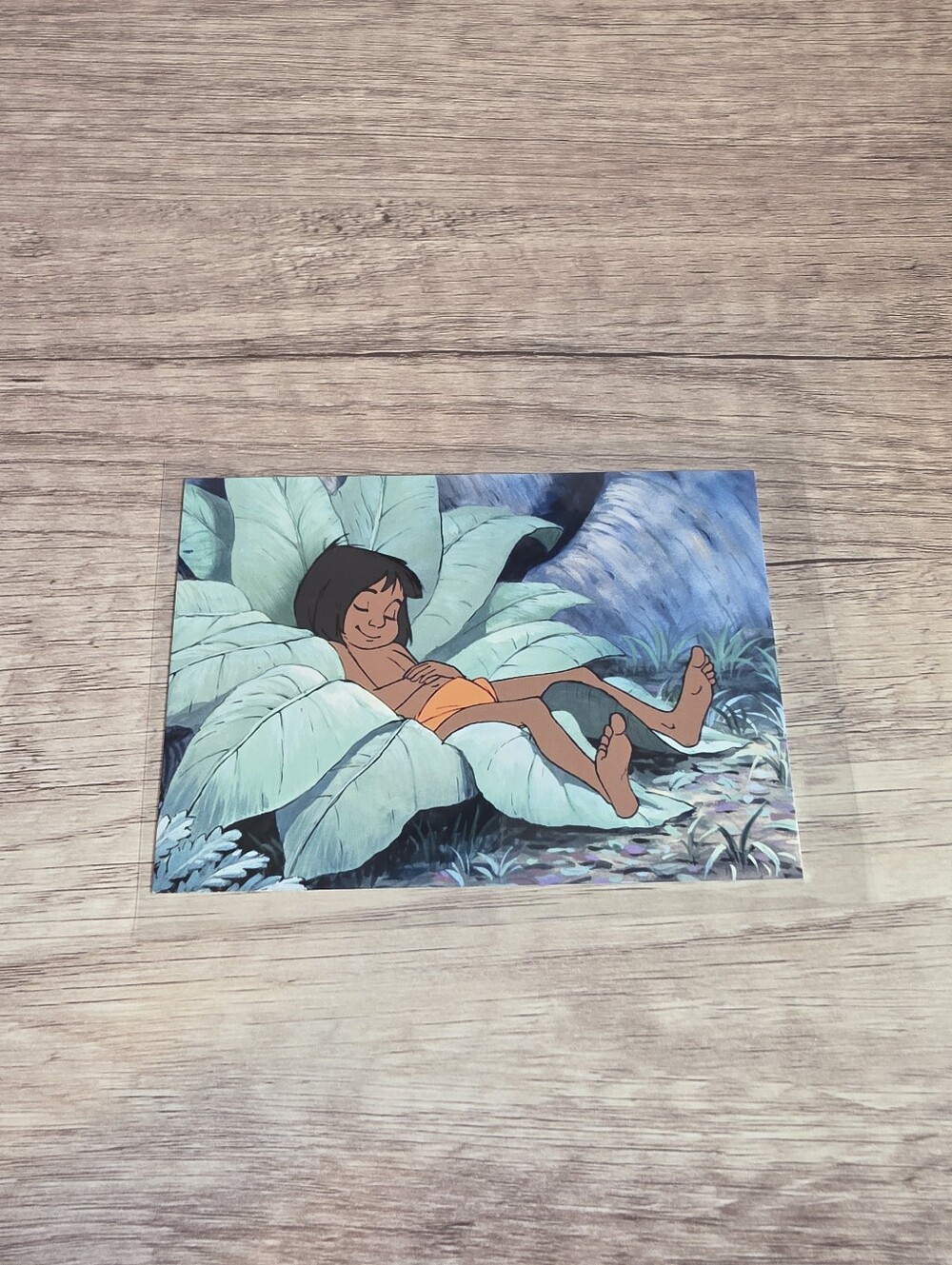 ✨️BUY 3 FOR $22 Mowgli, The Jungle Book, 1967 Postcard